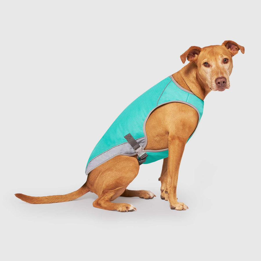 Chill Seeker Cooling Vest Wet Reveal Y4